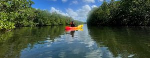 RIVIERE SALEE-2025-12-18-10-27-30 2